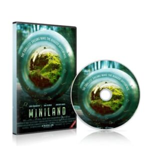 dvd4 1